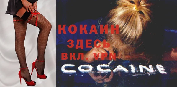круглые Тайга