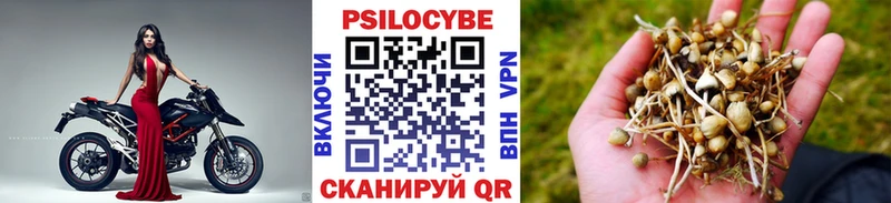 Псилоцибиновые грибы MAGIC MUSHROOMS  Безенчук 